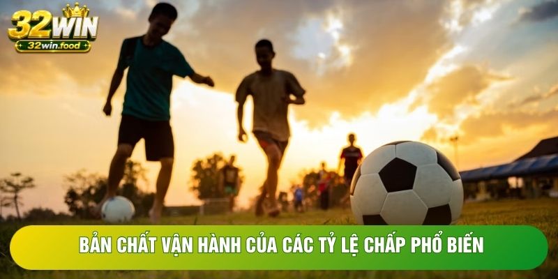 Bản chất vận hành của các tỷ lệ chấp phổ biến Bản chất vận hành của các tỷ lệ chấp phổ biến