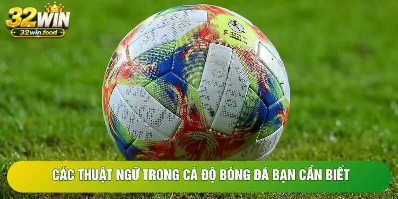 Các Thuật Ngữ Trong Cá Độ Bóng Đá - Nhóm Từ Cần Biết