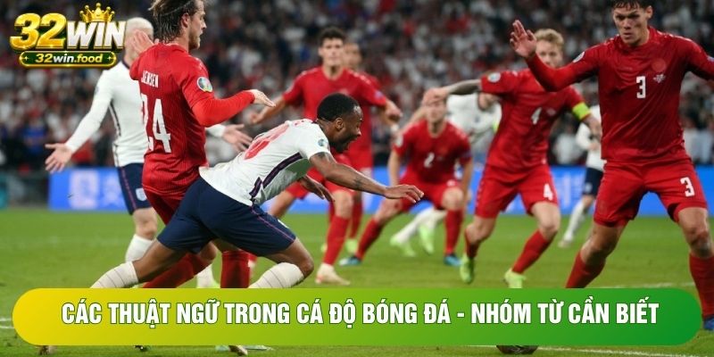 Các thuật ngữ trong cá độ bóng đá bạn cần biết Các thuật ngữ trong cá độ bóng đá bạn cần biết