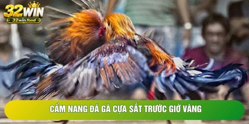 Cẩm nang đá gà cựa sắt trước giờ vàng Cẩm nang đá gà cựa sắt trước giờ vàng