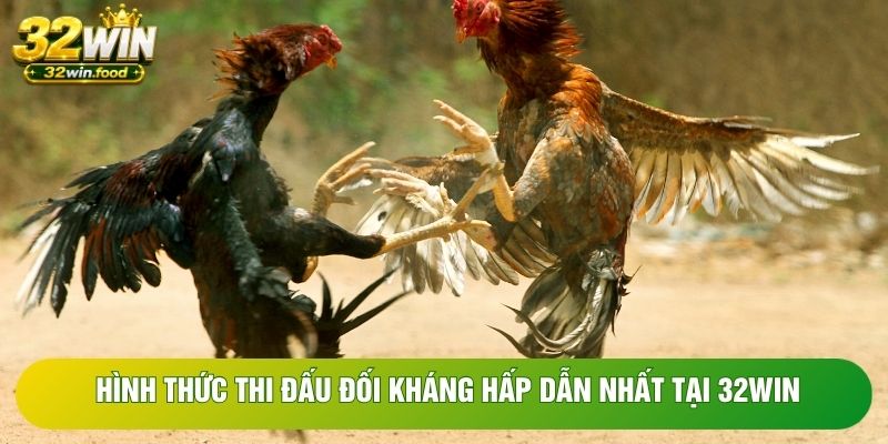 Hình thức thi đấu đối kháng hấp dẫn nhất tại 32WIN Hình thức thi đấu đối kháng hấp dẫn nhất tại 32WIN
