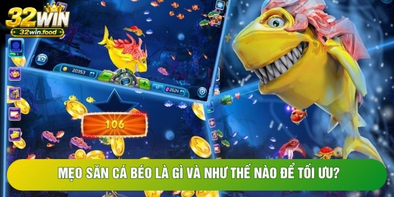Mẹo săn cá béo là gì và như thế nào để tối ưu? Mẹo săn cá béo là gì và như thế nào để tối ưu?